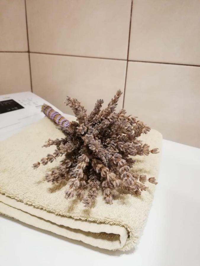 Apartman Jela Šibenik Exteriör bild